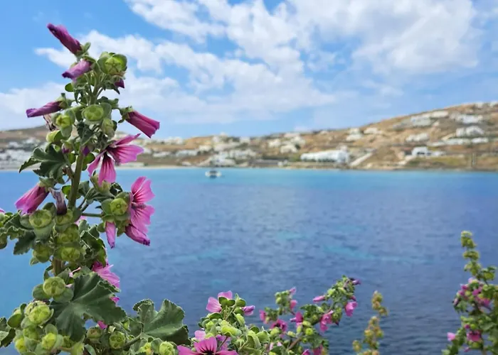 Holiday home Kalypso Pool At Ornos (Mykonos)